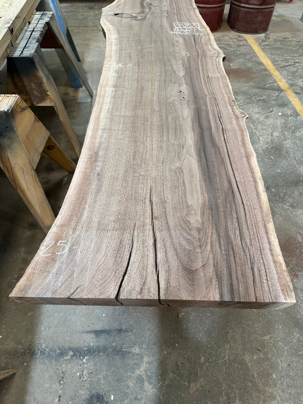 Black Walnut #BW1544