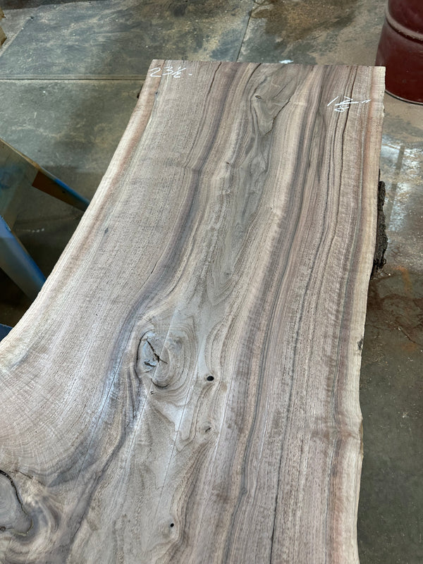 Black Walnut #BW1544