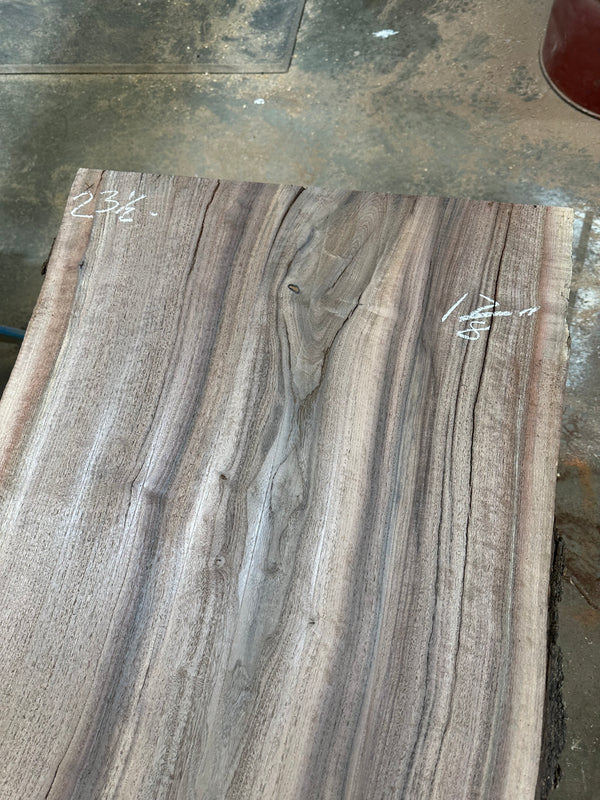 Black Walnut #BW1544