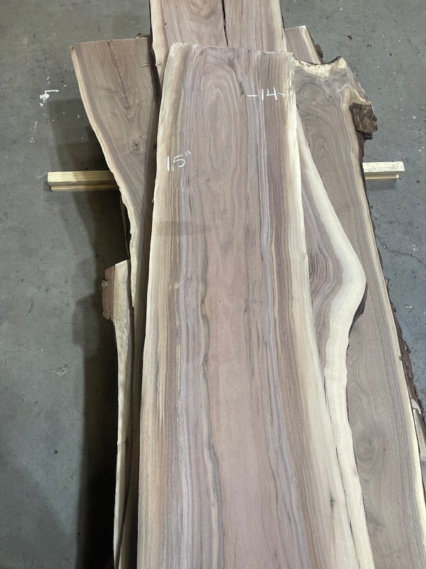 Black Walnut #BW1560