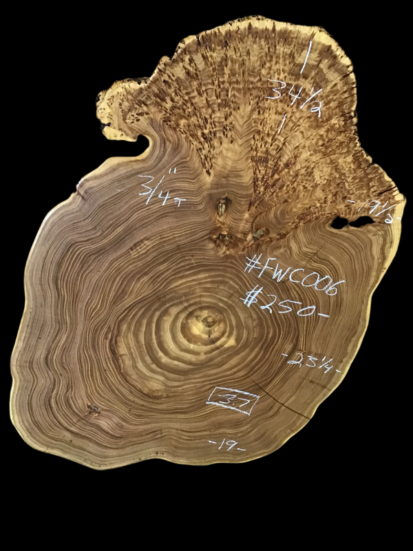 Chinese Elm #FWC006