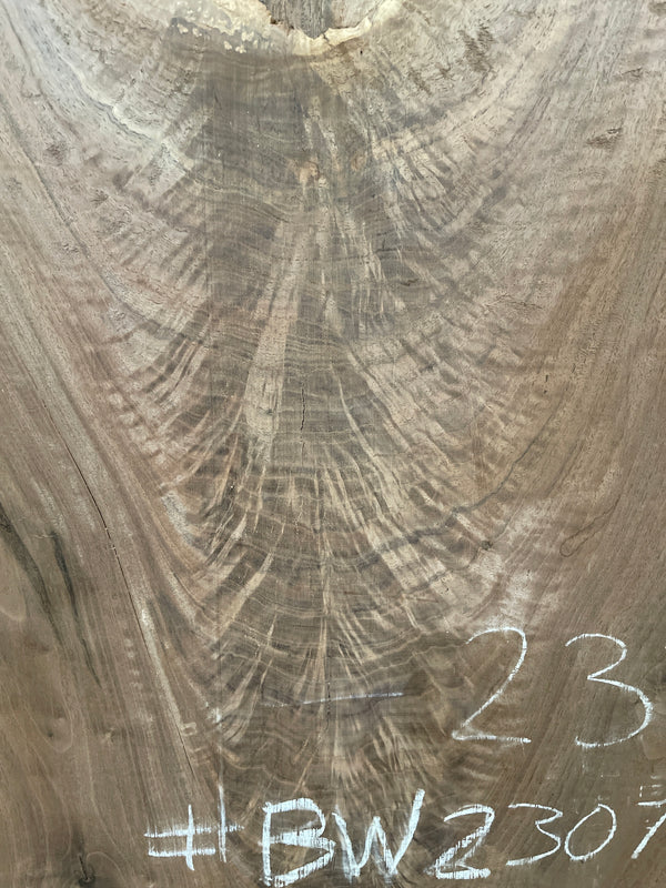 Black Walnut #BW2307