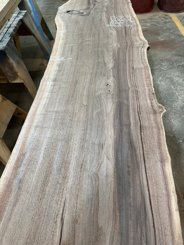 Black Walnut #BW1544