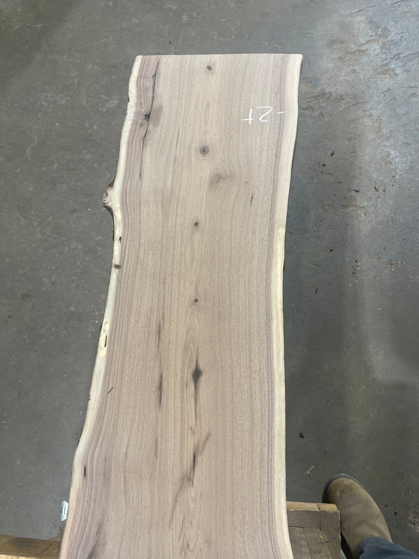 Black Walnut #BW1575