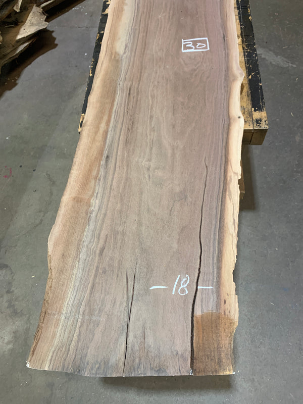 Black Walnut #BW1558